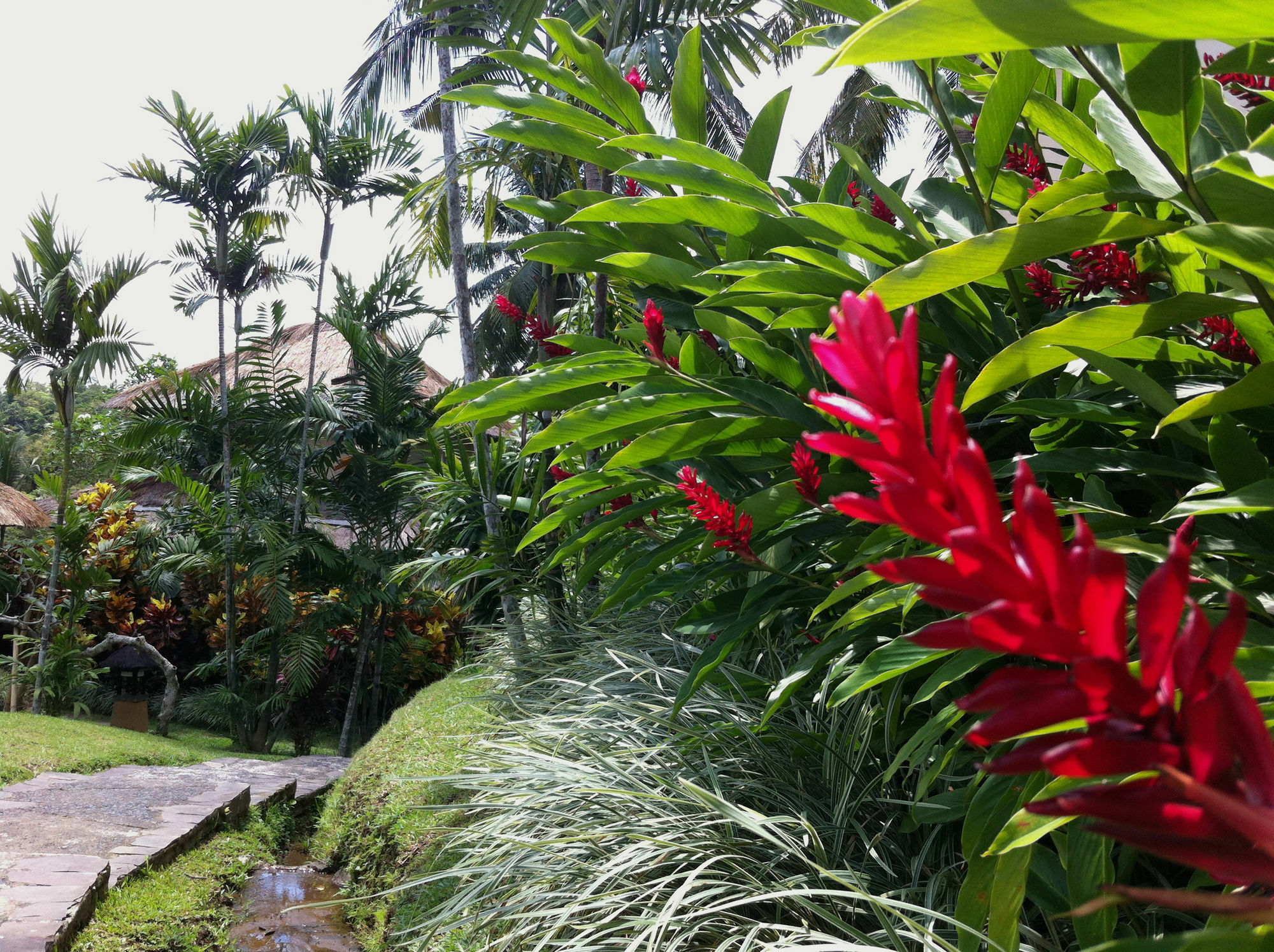 Semana Ubud (Bali)